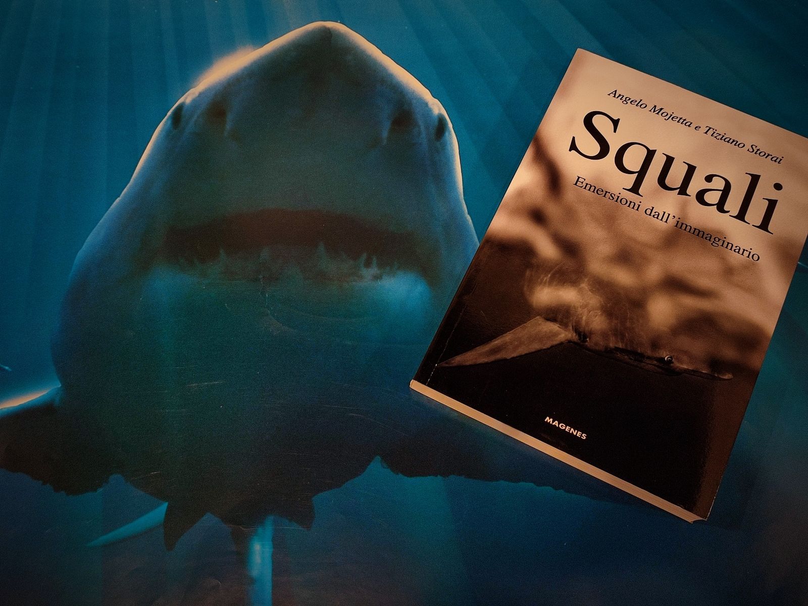 Squali | La presentazione in libreria - Eventi dal Blog del Mare