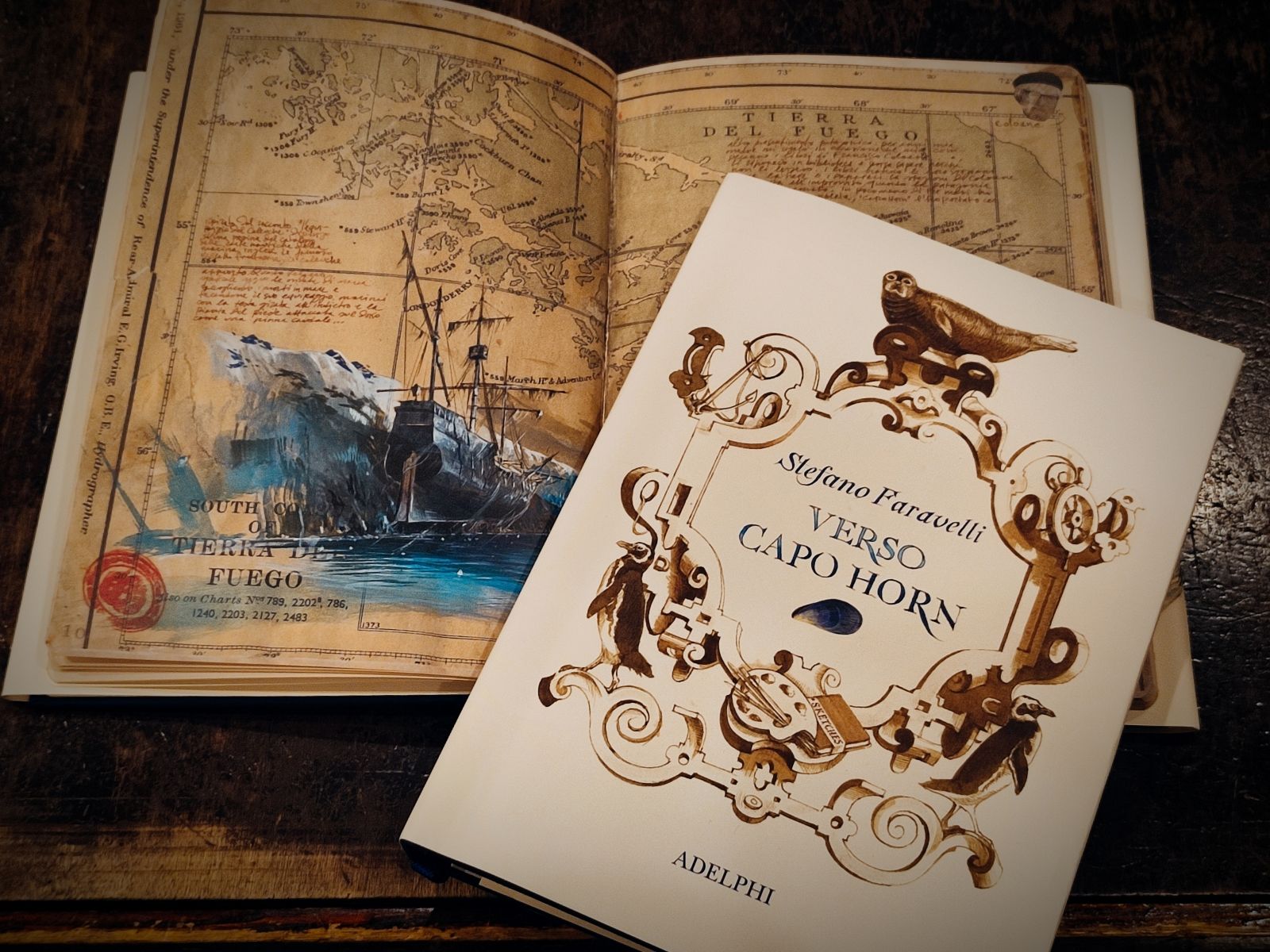 Verso Capo Horn - Libri dal Blog del Mare