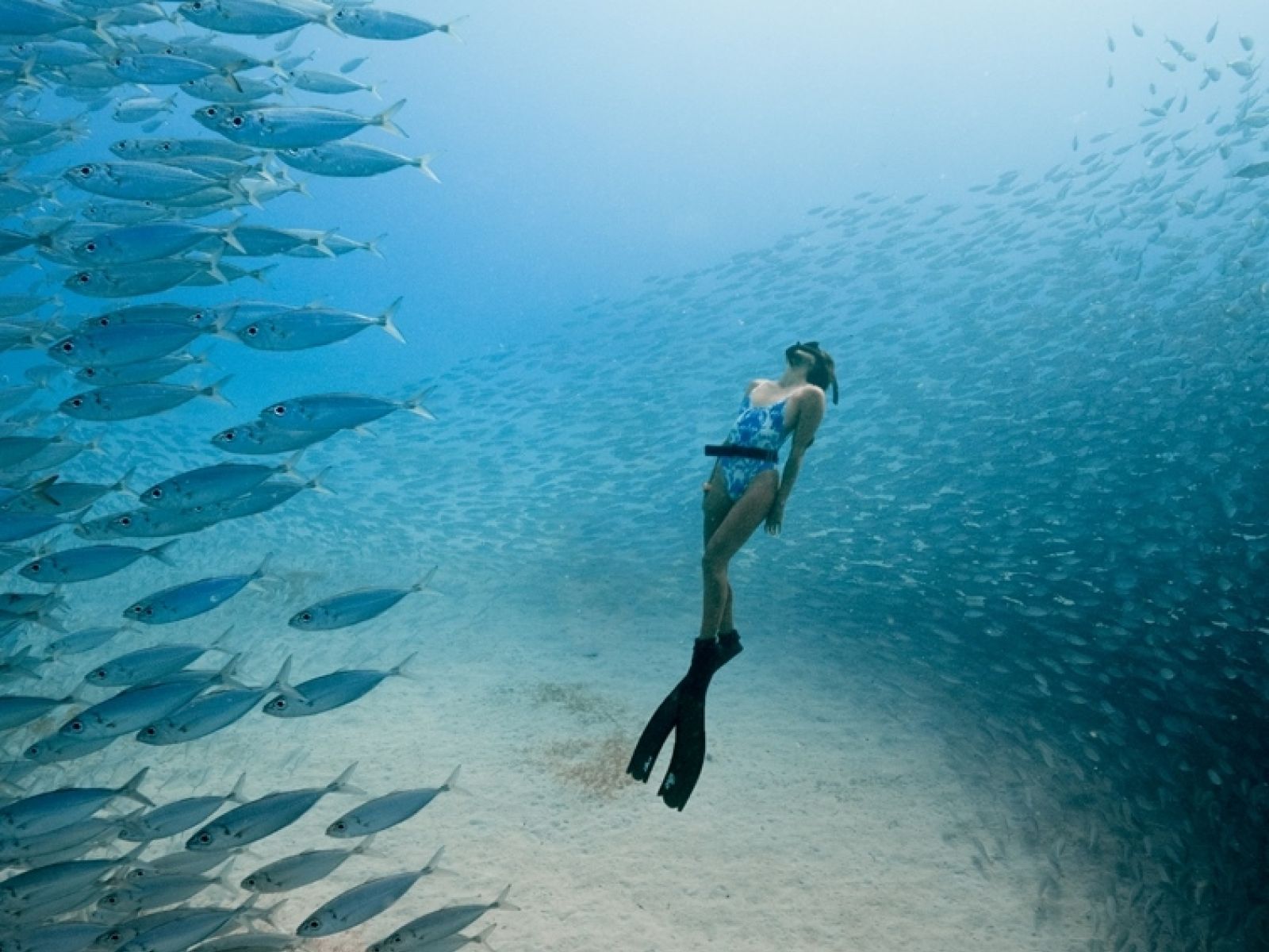 Ocean Film Festival - Travis Burke