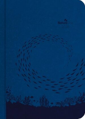 agenda settimanale "ocean" 2026