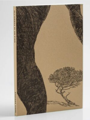 all'ombra di un pino