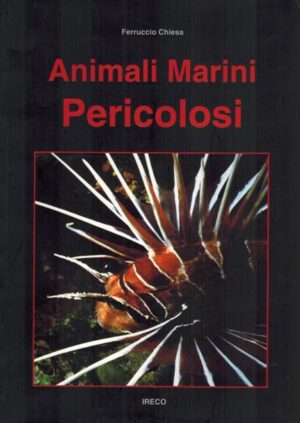 animali marini pericolosi