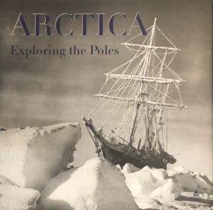 arctica