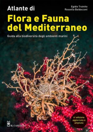 atlante di flora e fauna del mediterraneo