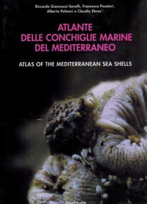 atlante delle conchiglie marine del mediterraneo volume IV