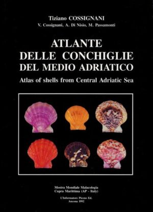 atlante delle conchiglie del medio adriatico