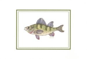 biglietto con busta zoodicarta "boccalone"