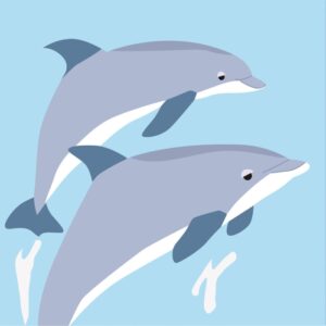 pop-up greeting card "sea creatures: dolphins"