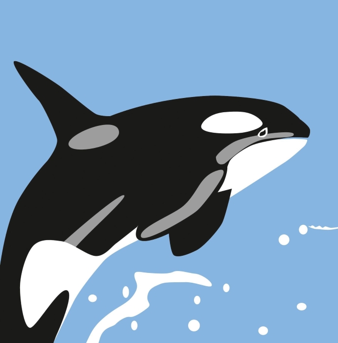 biglietto pop-up "sea creatures: whale"