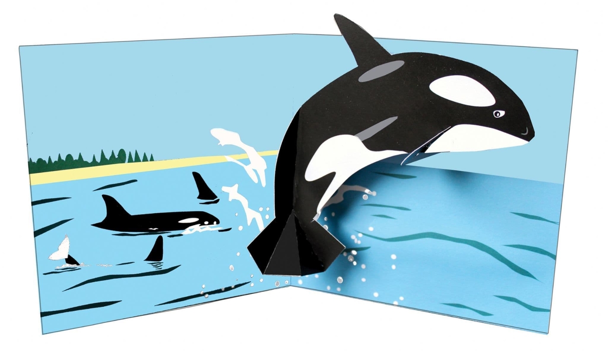 biglietto pop-up "sea creatures: whale" - immagine 2