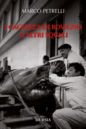 I CAGNIZZA DI ROVIGNO E ALTRI SQUALI
