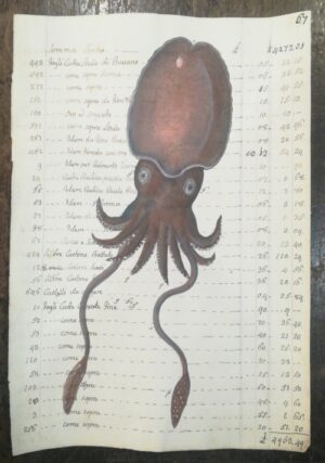 Calamaro su carta antica