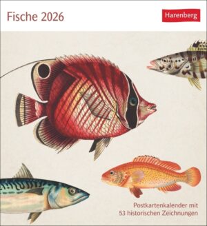 fische 2026