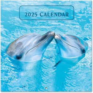 dolphins wall calendar 2025