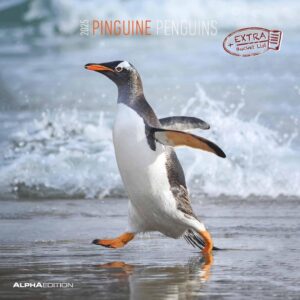 "penguins 2025" wall calendar