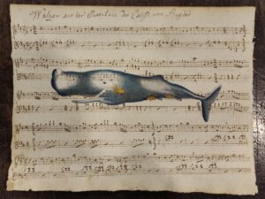 cetaceo su spartito musicale - cachalot trumpo