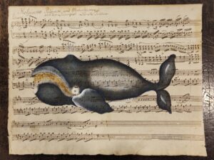 cetaceo su spartito musicale - la baleine franche