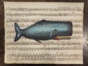 Cetacean on ancient musical score - Le cachalot cylindrique