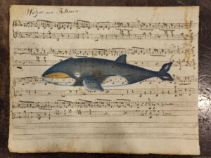 cetaceo su spartito musicale - le gibbar