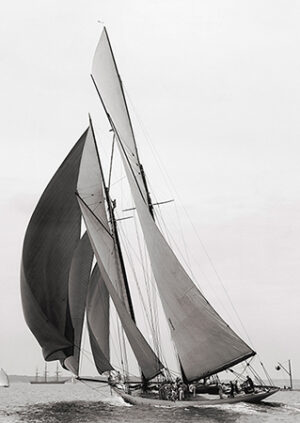colonia