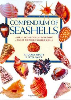 compendium of seashells