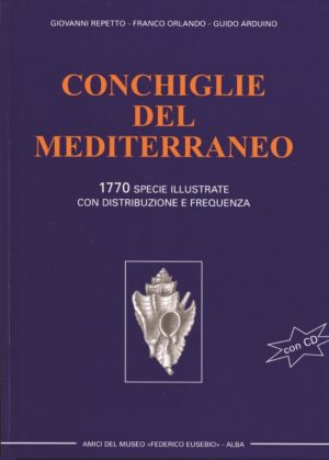 conchiglie del mediterraneo