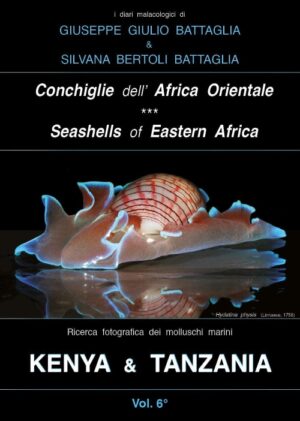 conchiglie dell'africa orientale