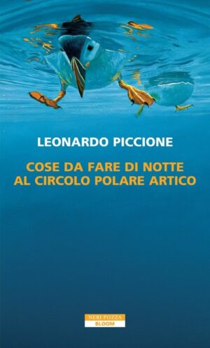 Cose da fare di notte al Circolo Polare Artico