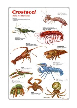 crostacei