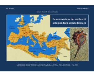 denominazione dei molluschi ai tempi degli antichi romani