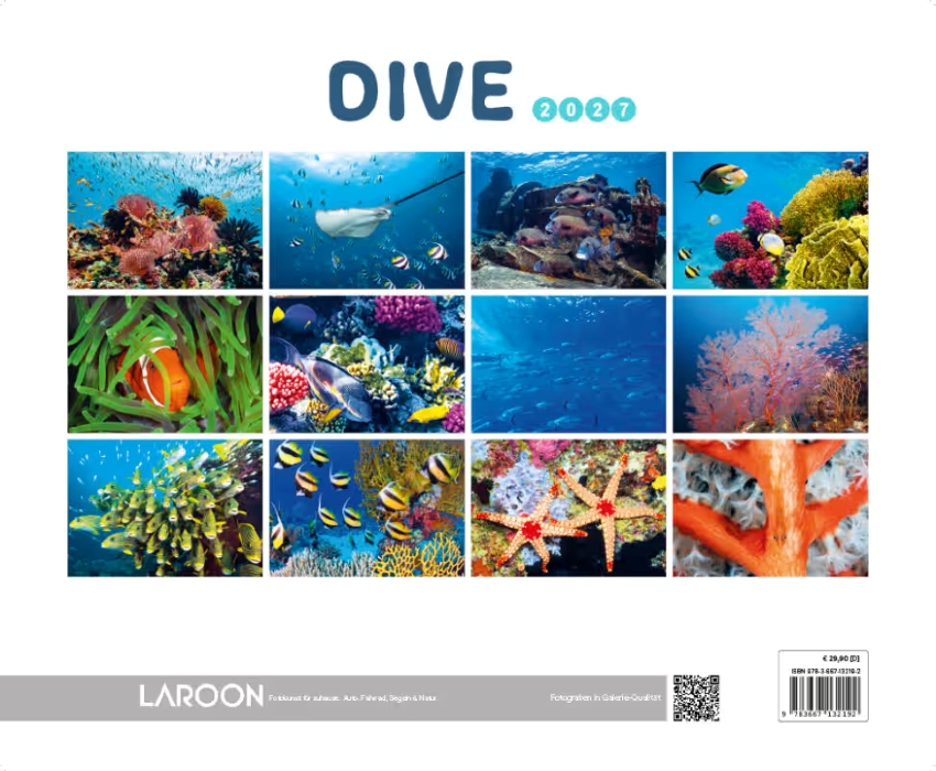 DIVE 2027 - immagine 2