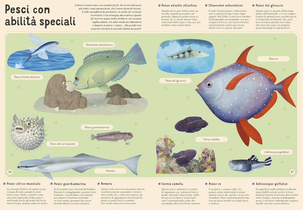 Enciclopedia del mare per piccoli lettori - Image 3