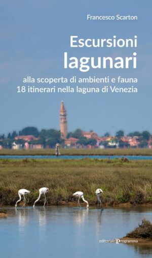 Escursioni lagunari