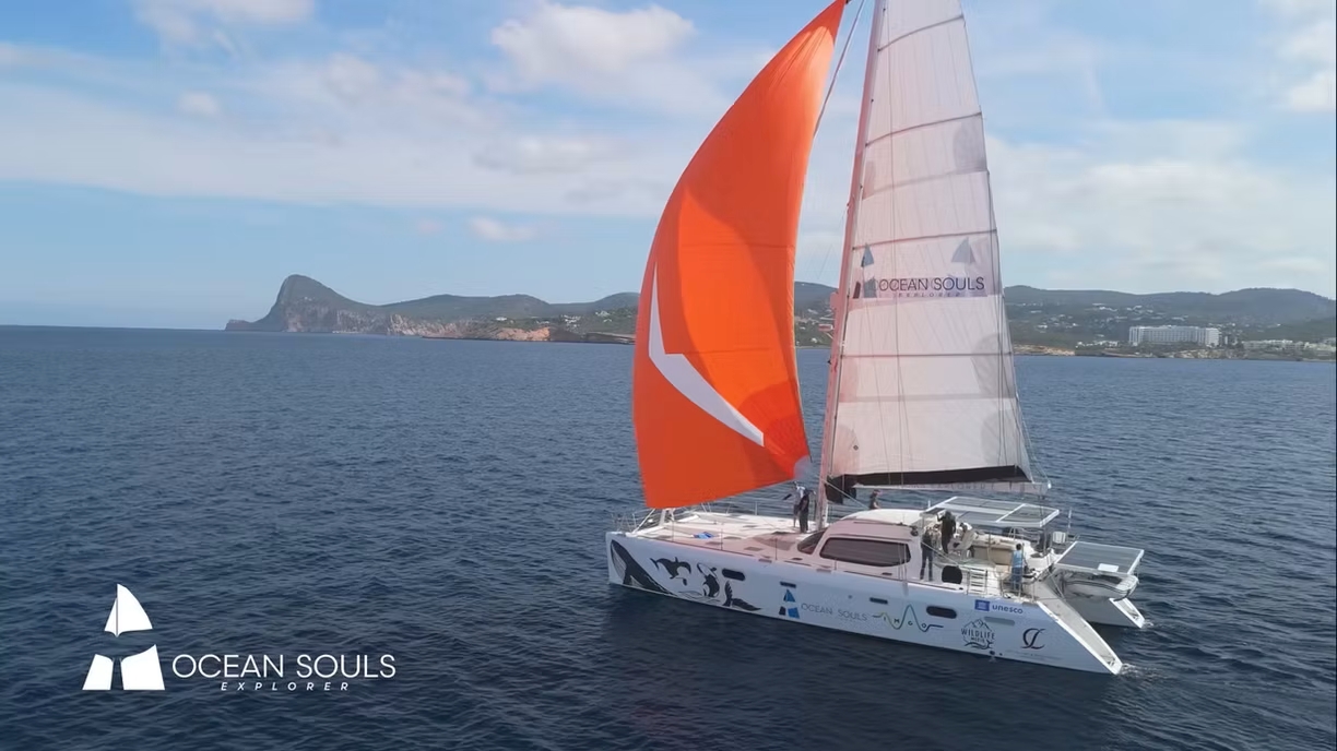 Esploratori dell'anima degli oceani - News dal Blog del Mare