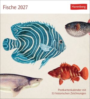 Fische 2027
