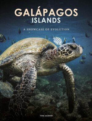 galapagos islands