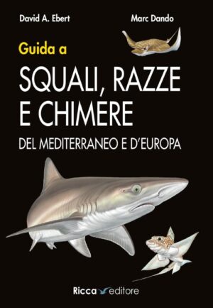 Guida a SQUALI, RAZZE E CHIMERE DEL MEDITERRANEO E D'EUROPA