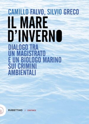 IL MARE D'INVERNO