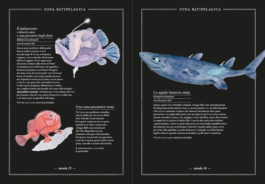 INVENTARIO illustrato degli ABISSI - Image 2