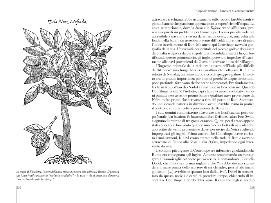 L'isola della noce moscata - immagine 5