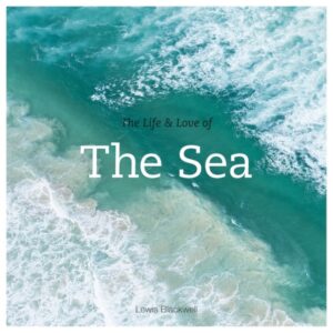 the life & love of the sea