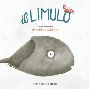 Il limulo
