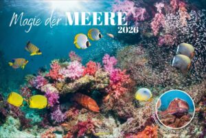 magie der meere 2026