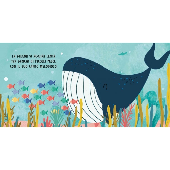 IL MARE - Dolci storie sonore - Image 2