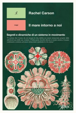 Il mare intorno a noi