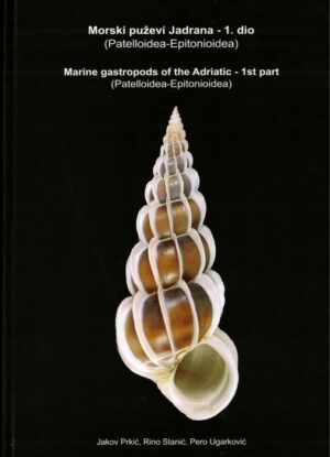 marine gastropods of the adriatic - 1st part
