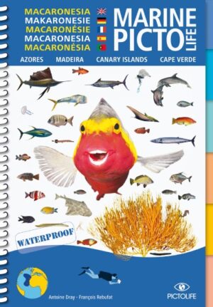 marine pictolife macaronesia