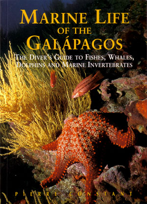marine life of the galapagos