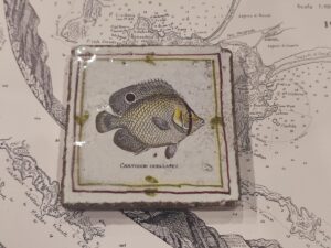 mattonelle in maiolica