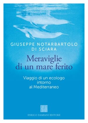 meraviglie di un mare ferito